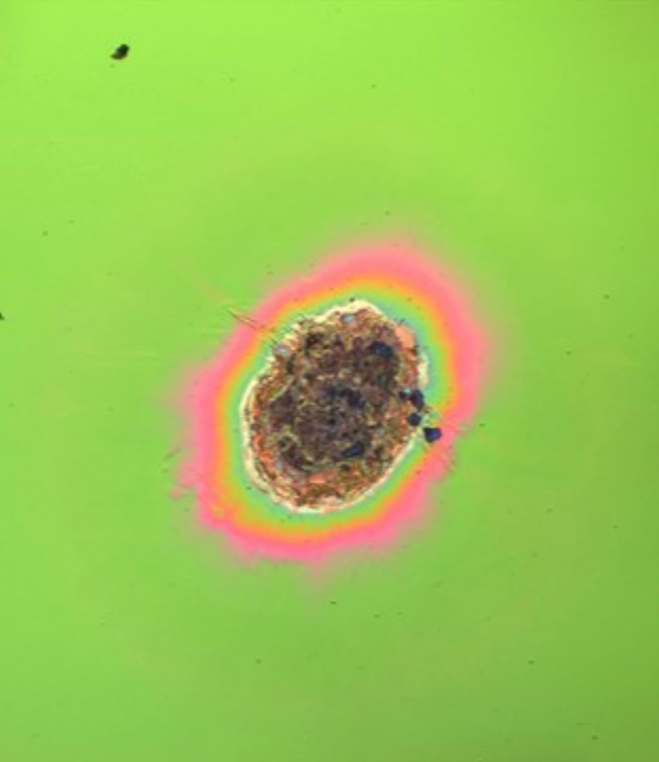 Sample damages created on high-reflective coating surface at 1064 nm wavelength